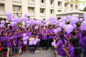 Glaucoma Awareness Walk Flags Off