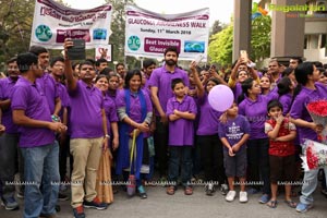 Glaucoma Awareness Walk Flags Off