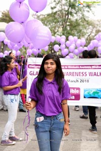 Glaucoma Awareness Walk Flags Off