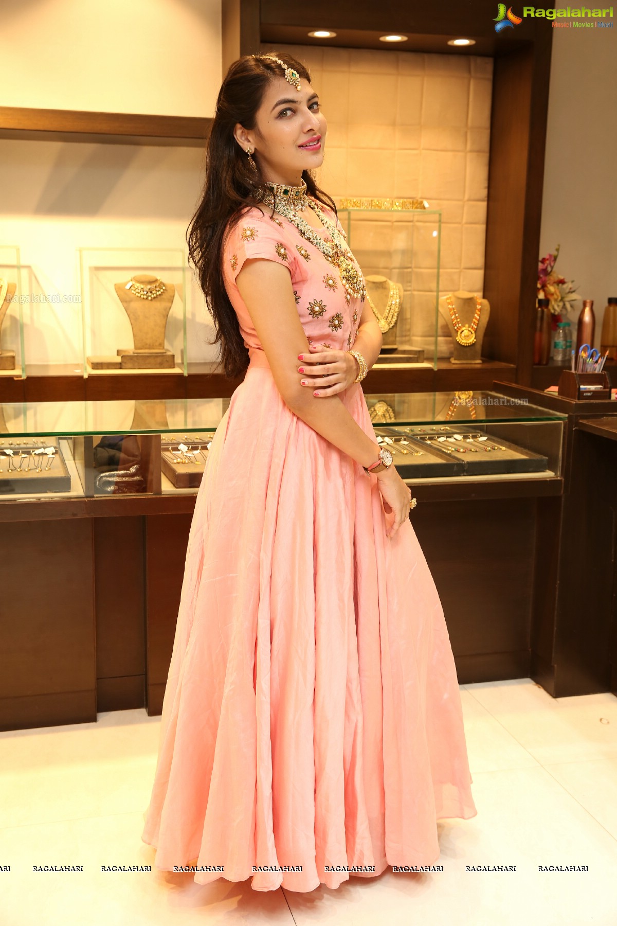 Grand Curtain Raiser Of Designer Jewellery Exhibition By Hiya Jewellers At Somajiguda