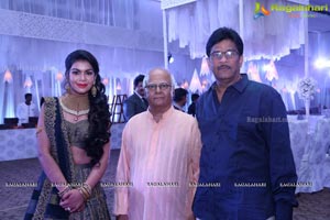 Sabitha & Bhargav Wedding Reception Photos