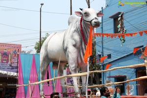 Sri Rama Navami Maha Shoba Yatra