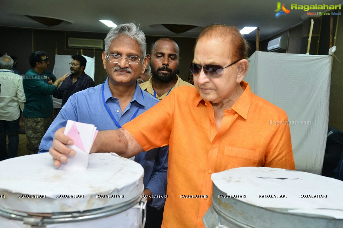 Movie Artists Association (MAA) Elections 2019