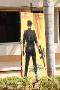 Operation Gold Fish Teaser Launch