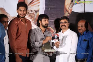 Prasnistha Audio Launch