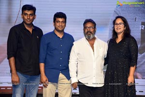 Suryakantham Pre Release Function