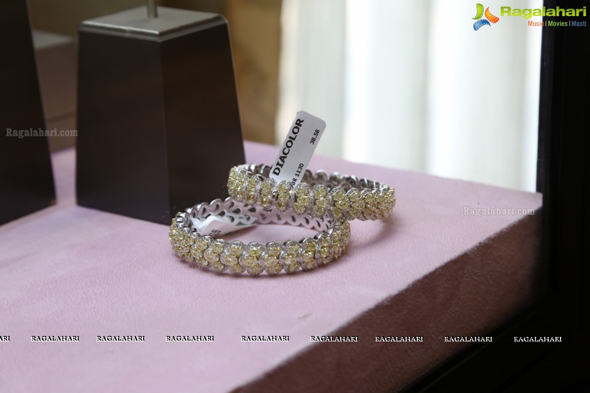 DIACOLOR Fine Contemporary Jewels Presents ‘The DIACOLOR Trunk Show’ at Taj Krishna 