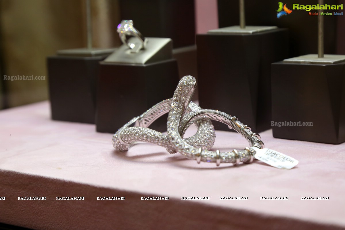 DIACOLOR Fine Contemporary Jewels Presents ‘The DIACOLOR Trunk Show’ at Taj Krishna 