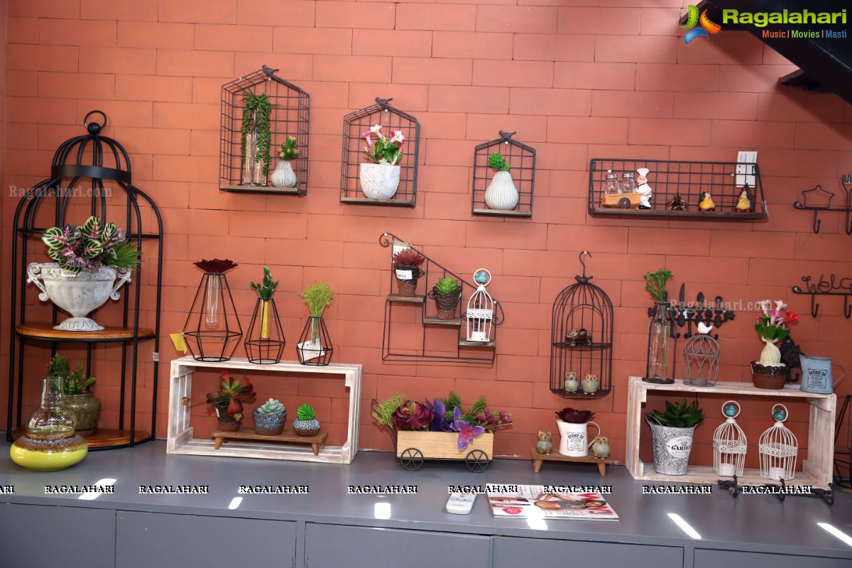 Hyderabad Chapter Ohara School of Ikebana & Eucalyptus Home Store Presents Ikebana Exhibition 'Eucalyptus & Ikebana'