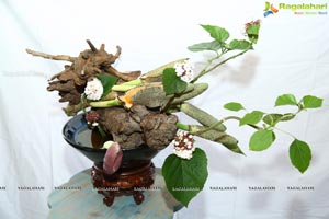 Ikebana Exhibition 'Eucalyptus & Ikebana'