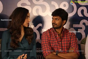 Kanulu Kanulanu Dochayante Success Meet