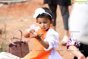 Experiential Learning in The Early Years at Toddler's Den