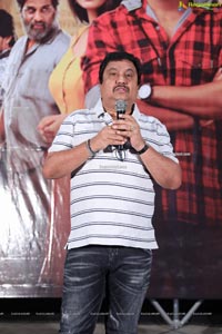 Playback Movie Success Meet