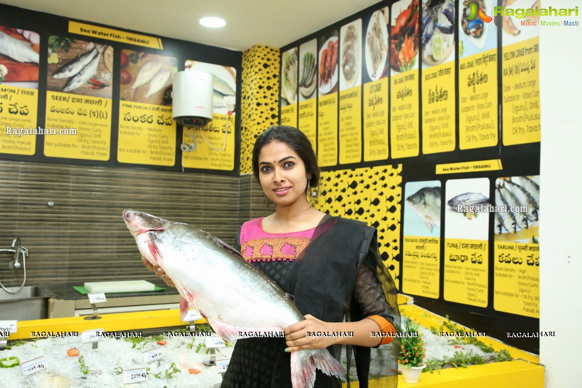 Proteins Hygiene NonVeg Mart Announces Bigg Boss fame Divi Vadthya as Their Brand Ambassador 