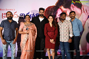 Krishna Vrinda Vihari Teaser Launch