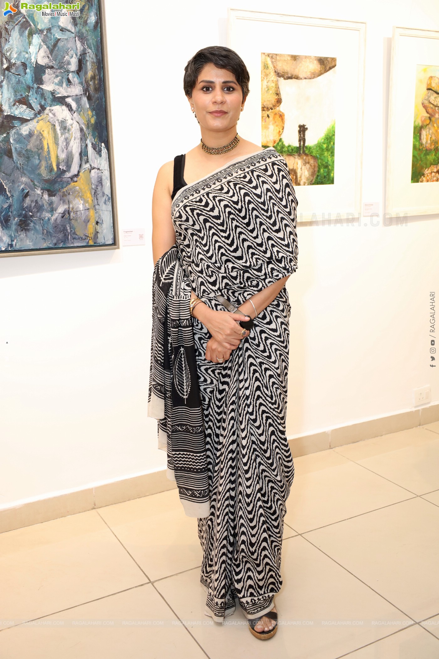 Sentinels of Hyderabad: An art show showcasing the boulders of Hyderabad and beyond
