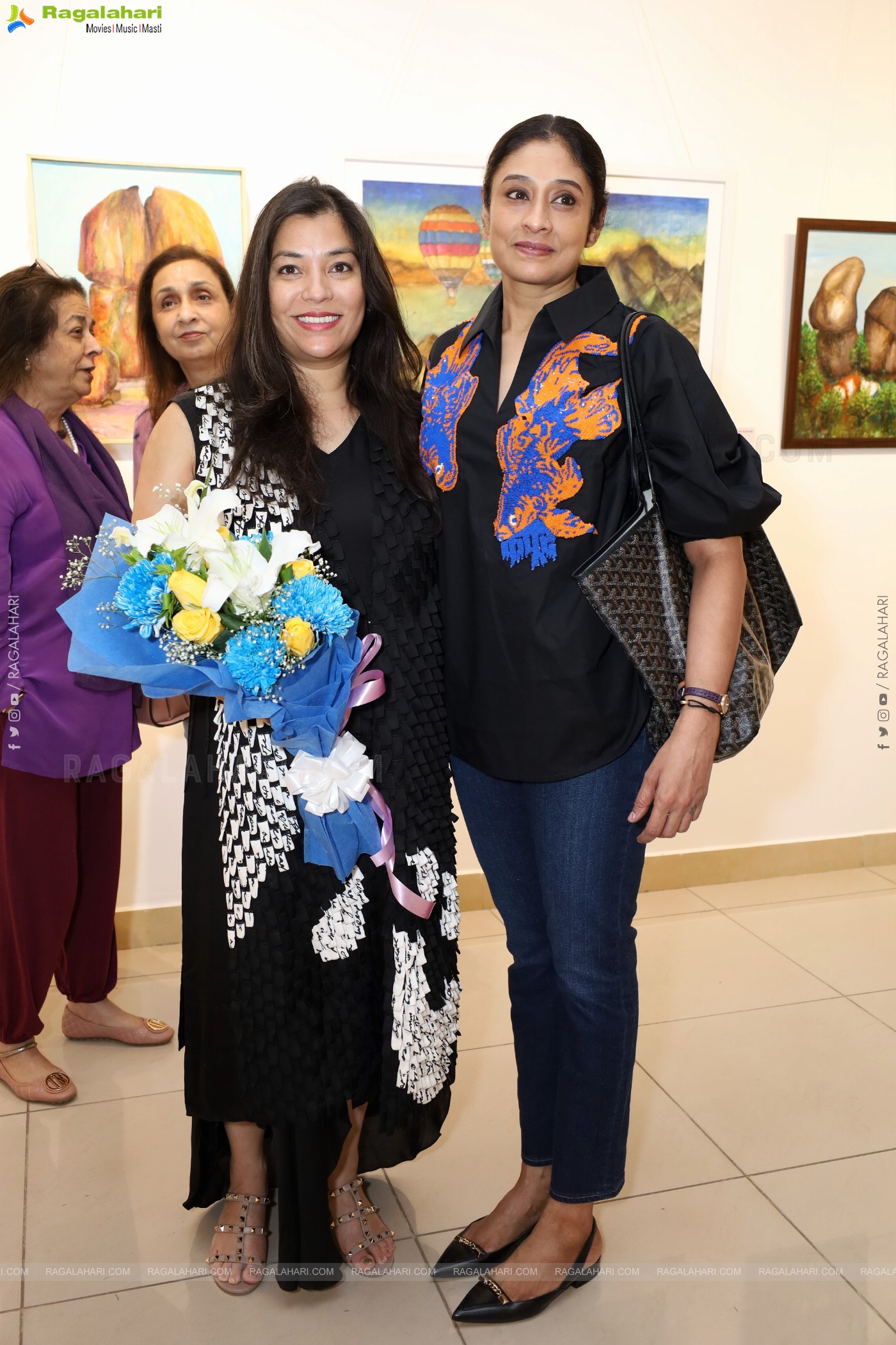 Sentinels of Hyderabad: An art show showcasing the boulders of Hyderabad and beyond