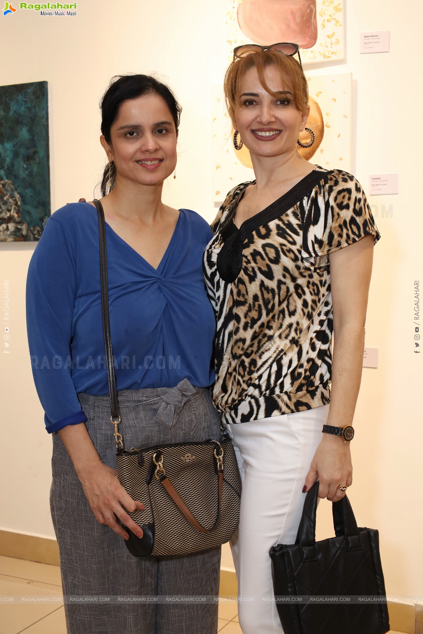 Sentinels of Hyderabad: An art show showcasing the boulders of Hyderabad and beyond