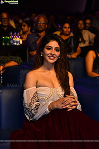 AHA’s South India Film Festival Awards Event