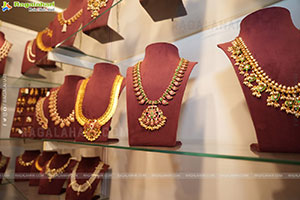 Hi Life Exhibition March 2026 Kicks Off at The Lalit Ashok