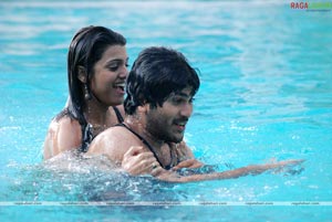 Sharwanand, Tashu Kaushik