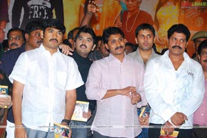 Haasini Audio Release