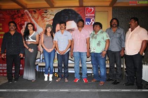 Simha Press Meet