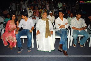 Yemaaya Chesaave Success Meet