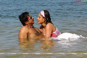 Sarath Kumar, Namitha, farzana