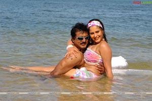 Sarath Kumar, Namitha, farzana