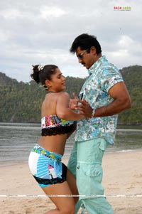 Sarath Kumar, Namitha, farzana