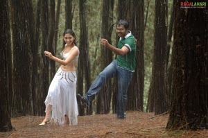 Karthi, Tamanna