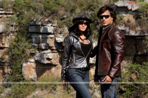 Vivek Oberoi , Aruna Shields, Nandana Sen