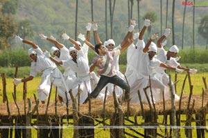 Ram, Priya Anand, Bindu Madhavi