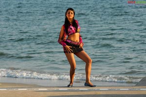 Trisha Photo Gallery from Namo Venkatesa