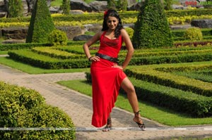 Trisha Photo Gallery from Namo Venkatesa