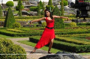 Trisha Photo Gallery from Namo Venkatesa