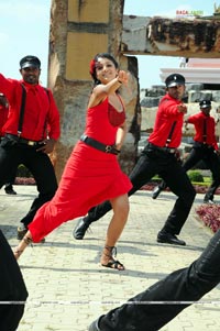 Trisha Photo Gallery from Namo Venkatesa