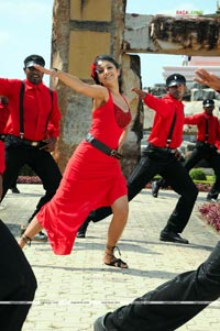 Trisha Photo Gallery from Namo Venkatesa