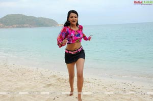 Trisha Photo Gallery from Namo Venkatesa