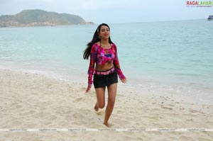 Trisha Photo Gallery from Namo Venkatesa