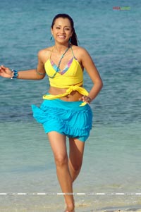 Trisha Photo Gallery from Namo Venkatesa