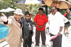 Buridi Working Stills