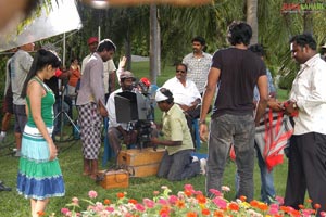 Buridi Working Stills