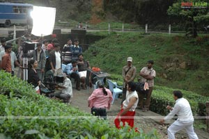 Chapter 6 Working Stills