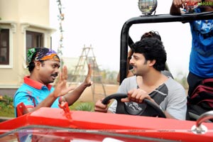 Darling Working Stills