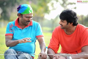 Darling Working Stills