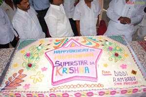 Krishna Birthday Celebrations 2009