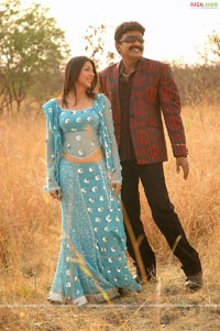 Rajasekhar, Bhumika