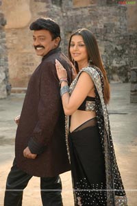 Rajasekhar, Bhumika